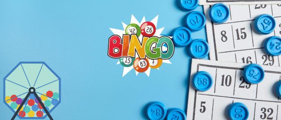10 interessante fakta om bingo du sannsynligvis ikke visste