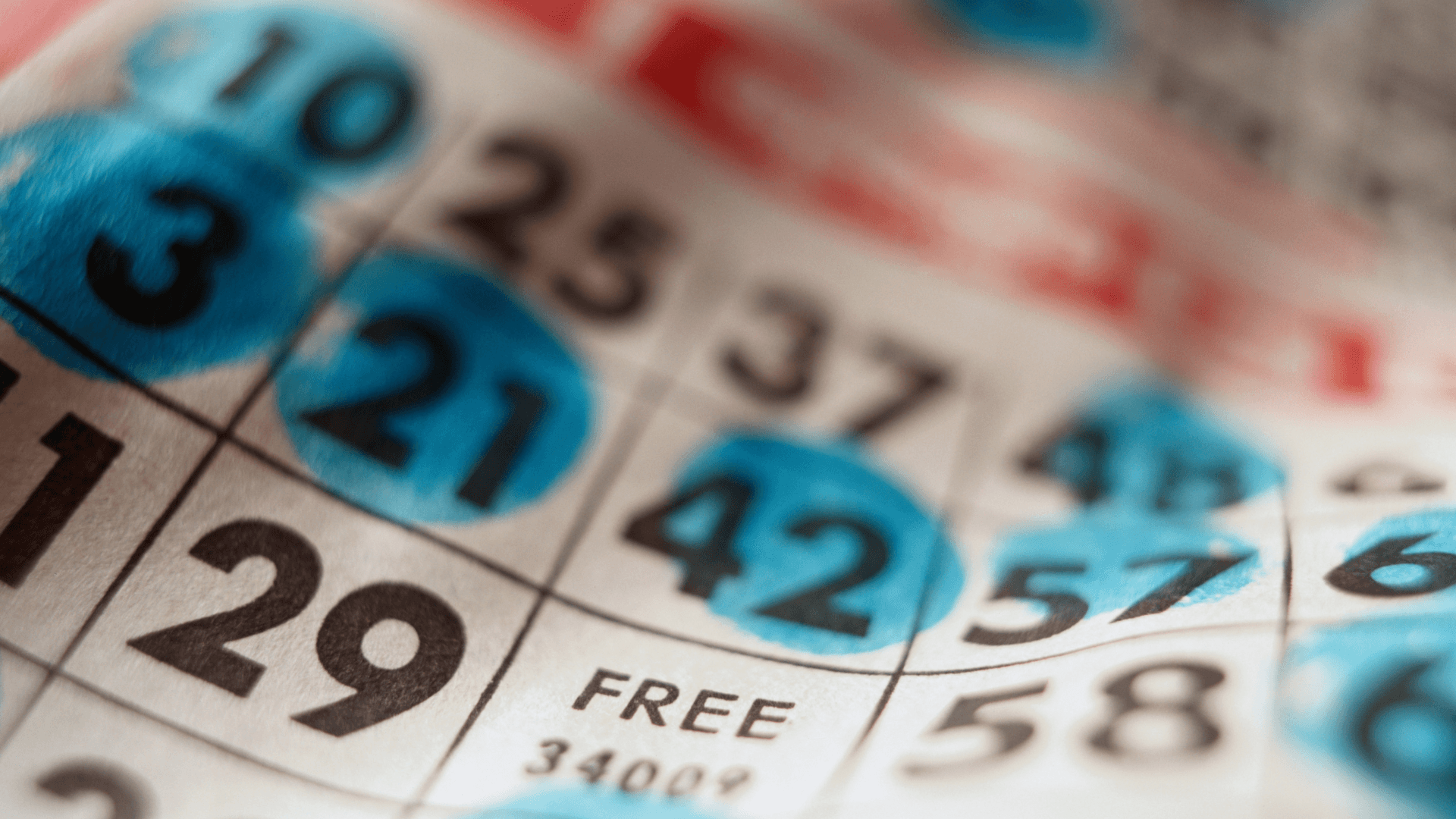 Alt om online bingokort og samtaler image